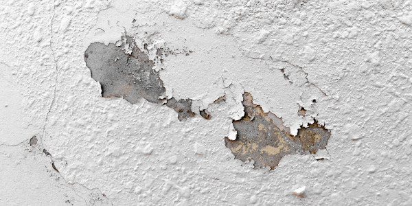 Pintar Fachadas de Naves Industriales, Fábricas y Almacenes Gràcia · Pintura Antihumedad / Antimoho para Humedades / Moho